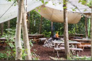 Wood Carving Workshop in Nature — 30 August screenshot